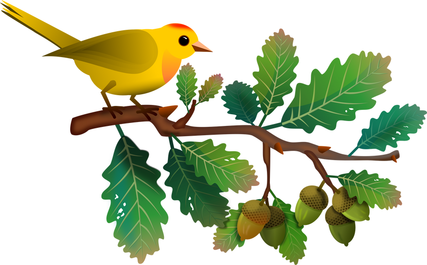 Bird in a Branch 